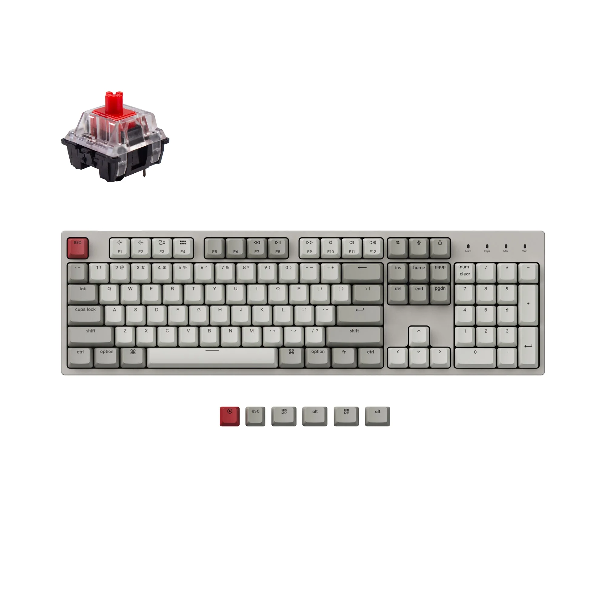 Keychron C2 Wired Mechanical Keyboard - Image 6
